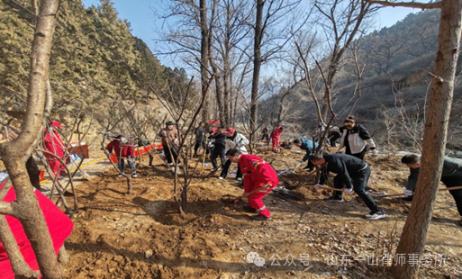 山东一山律师事务所与泰山景区玉泉寺管理区联合开展“义务植树、美化泰山”志愿服务活动