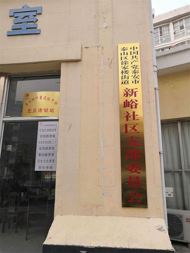 实践活动-践行“双报到”入社区为民服务